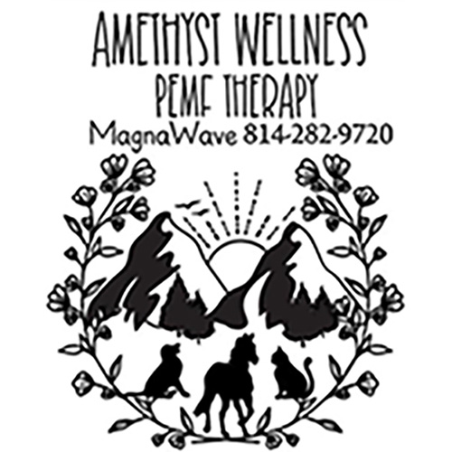 Amethyst Wellness Logo