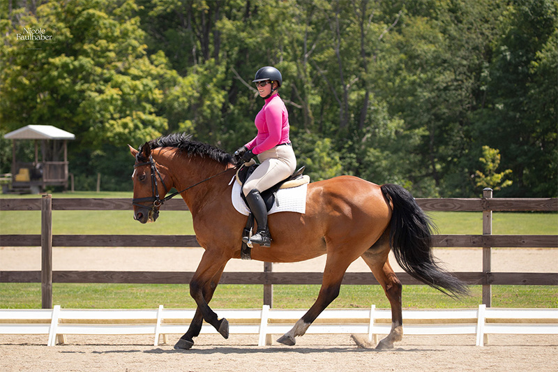 Women in pink top riding a brown and black horse