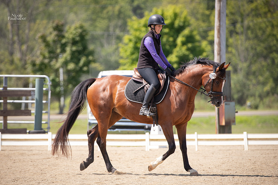 Women in purple top riding a brown and black horse