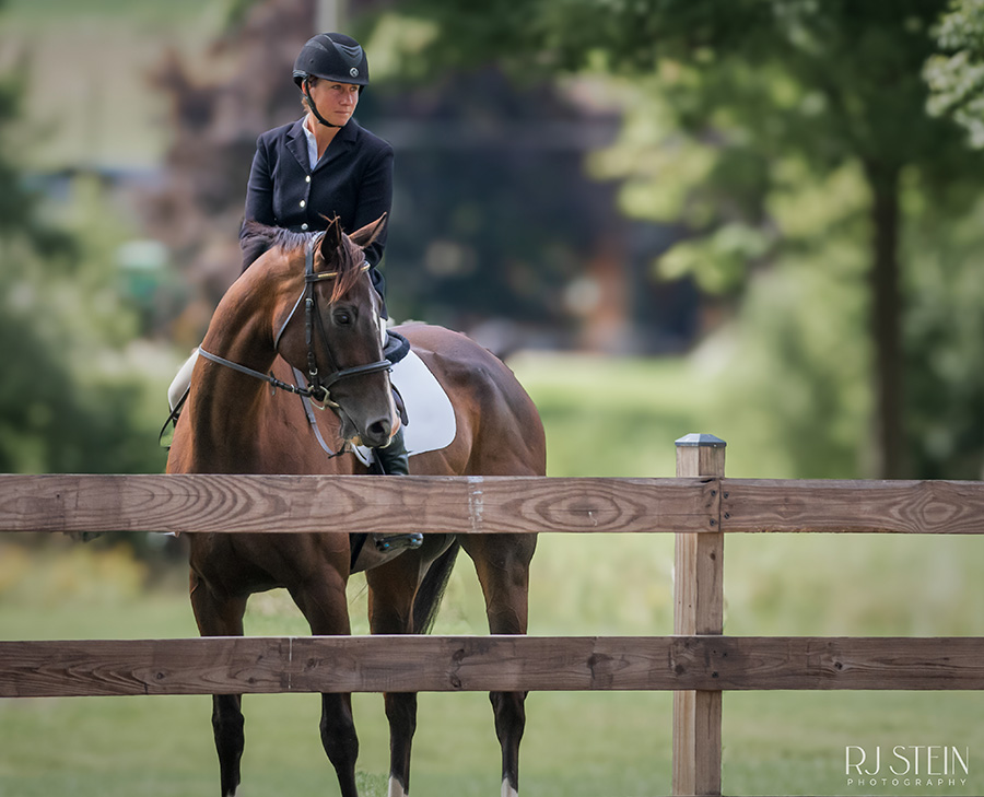 Women riding a horse behind a fence