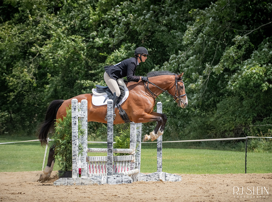 Rider and horse jumping